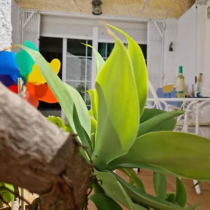 https://torremolinosappartement-avec-piscine-et-terrasse.es-andalucia.com